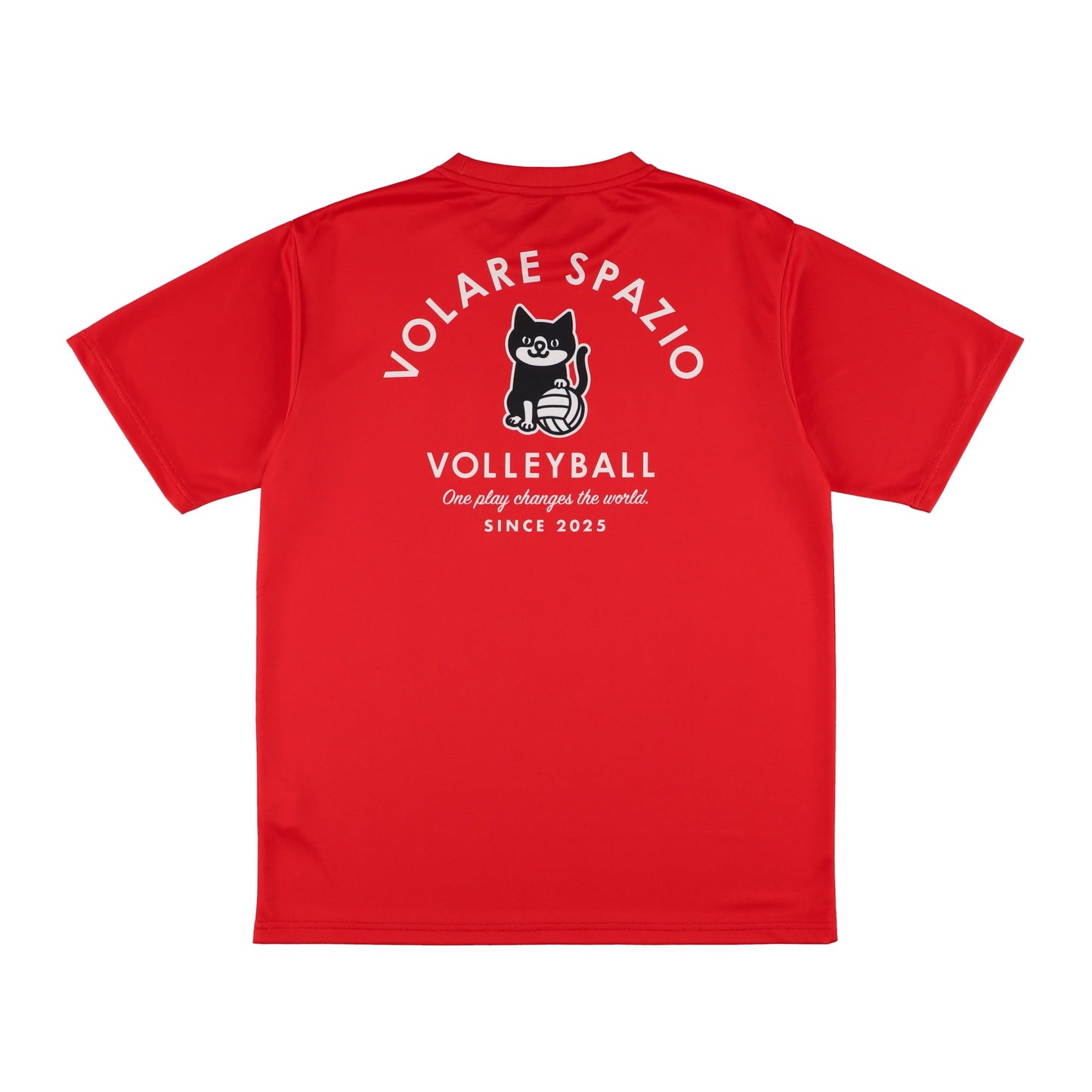 Pippoバレープラシャツ3