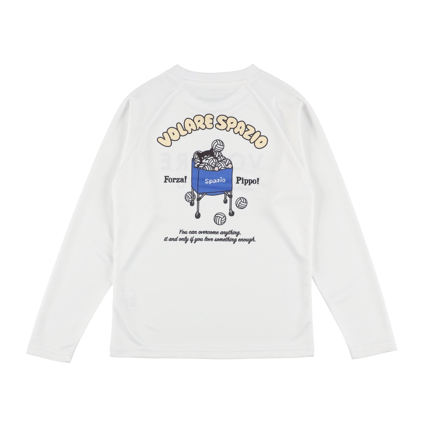 Jr.Pippoボールカートロンプラ